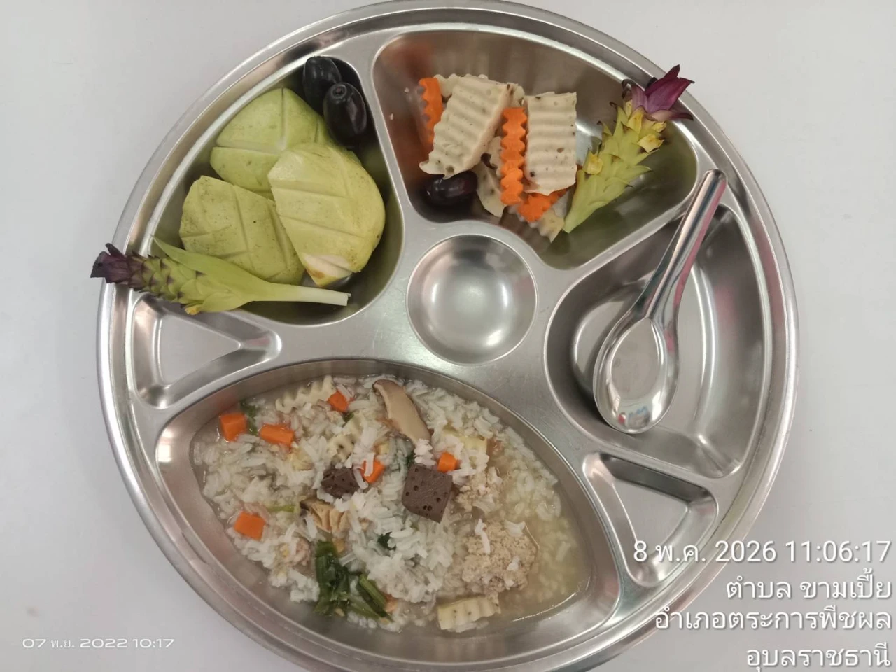 catalogs_file_1336_29_2_257167.webp