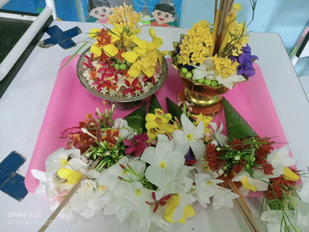 catalogs_file_1519_49_52_804291.webp