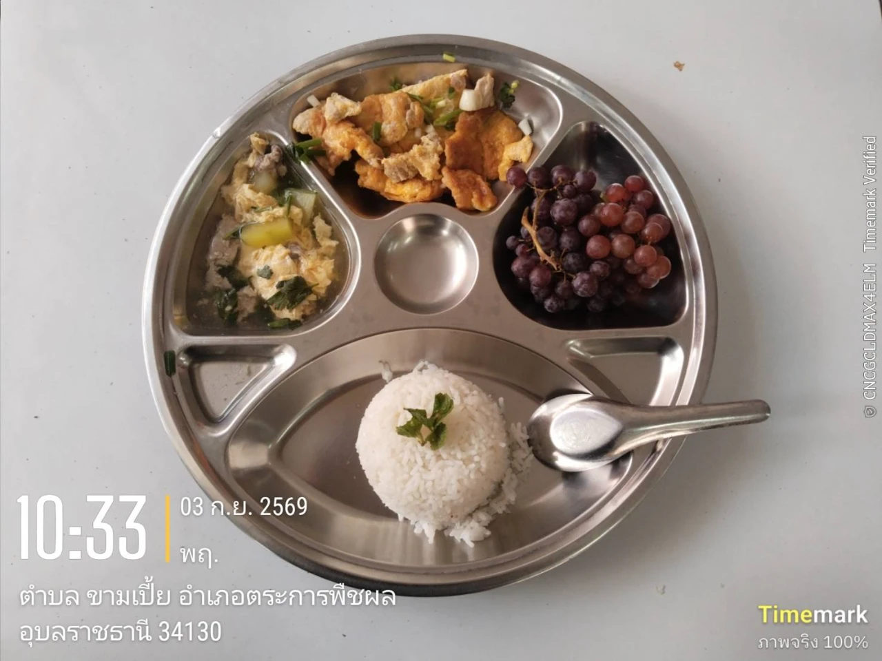 catalogs_file_1964_48_25_308516.webp